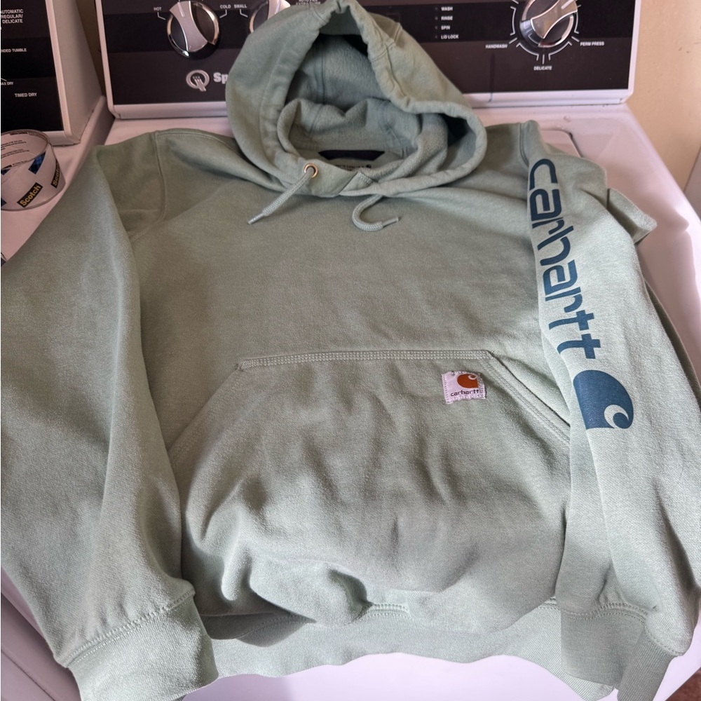Carhartt Men's Sage Hoodie